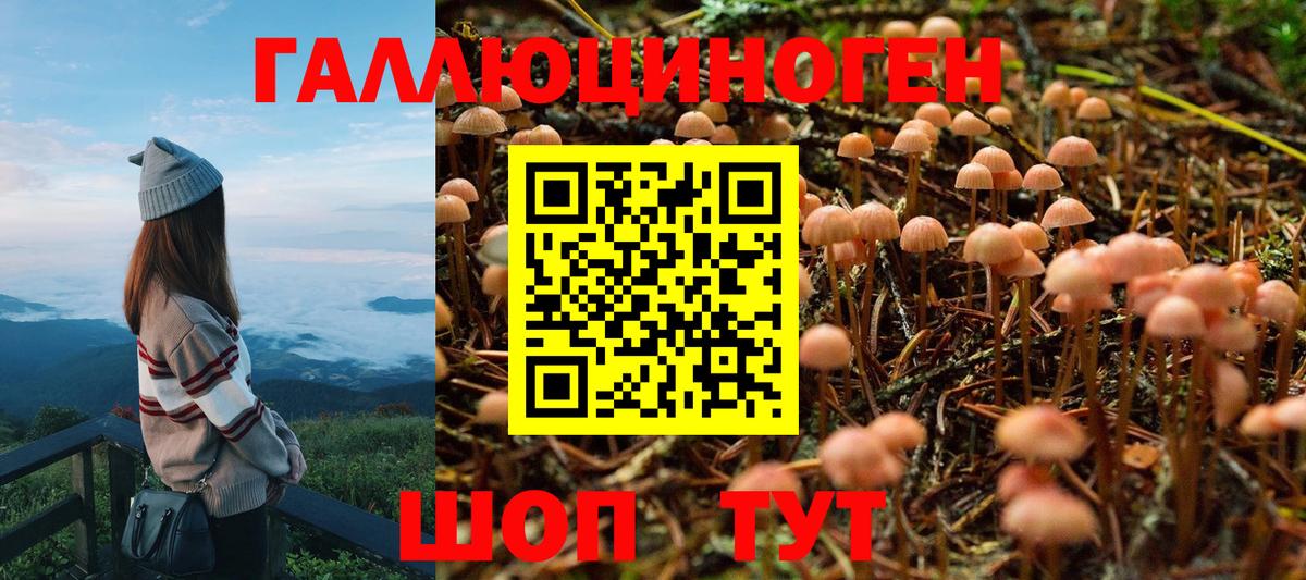 Курчатов  Галлюциногенные грибы прущие грибы  Псилоцибиновые грибы мухоморы  Вход с VPN 